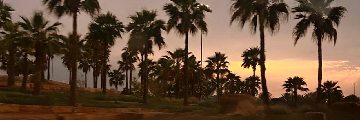 Y_5ial's profile banner image