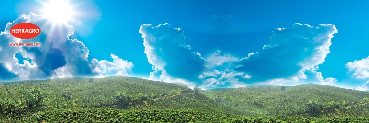 herragroweb's profile banner image