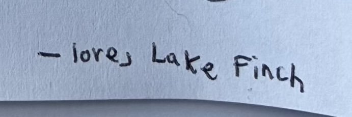 lake 🦴's banner