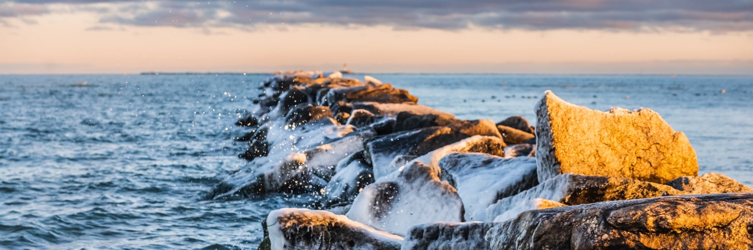 Charity Grace Mofsen banner