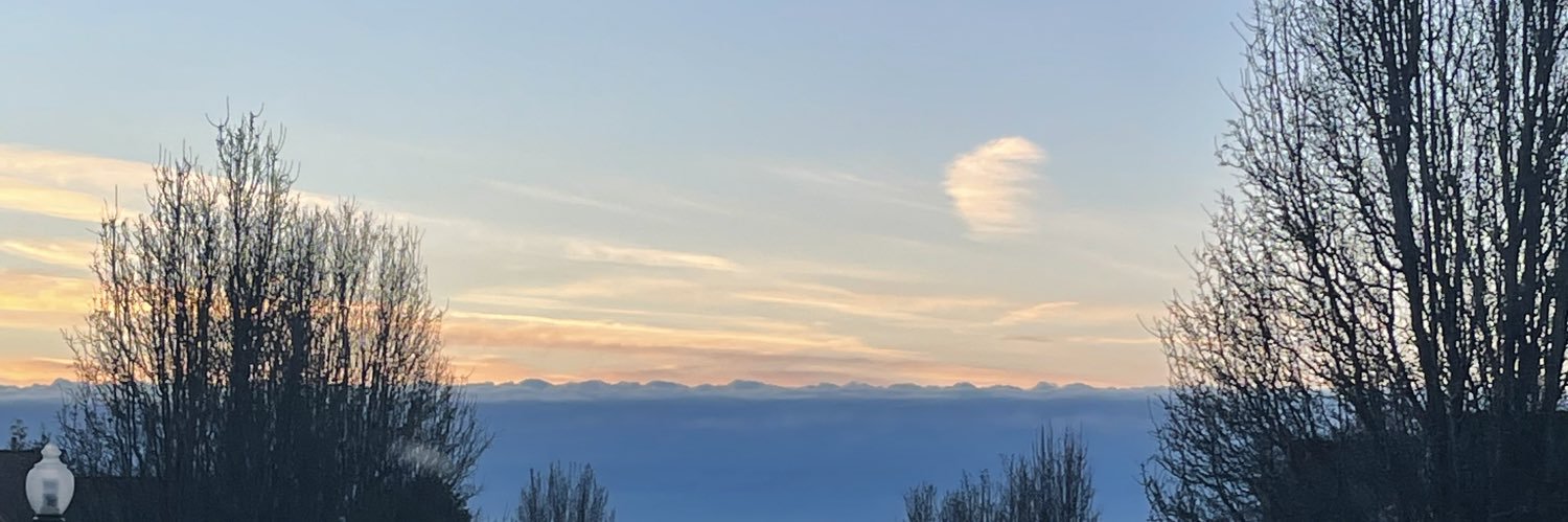 EscandonNaya's profile banner image