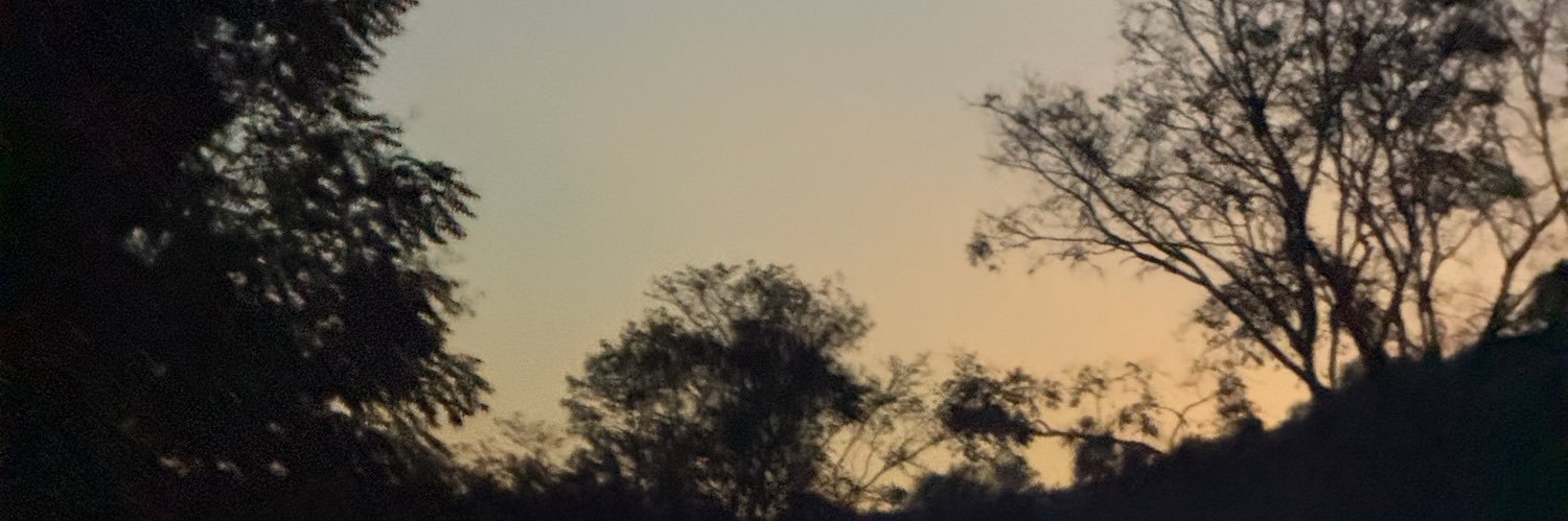 warmwarning's profile banner image