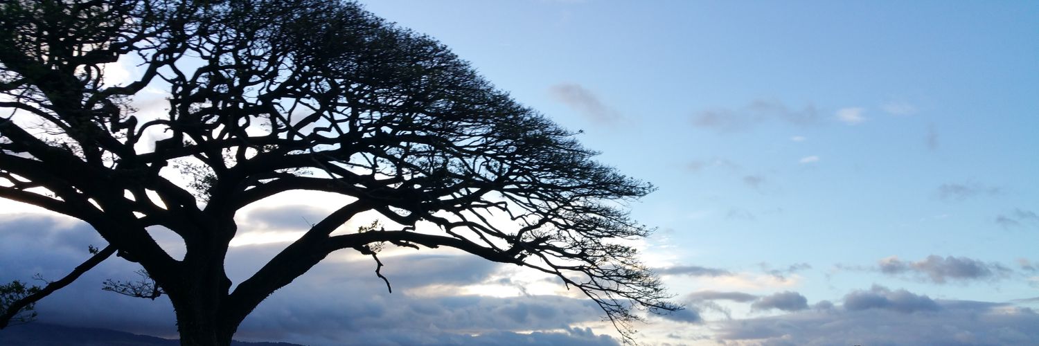 CigarChemist's profile banner image