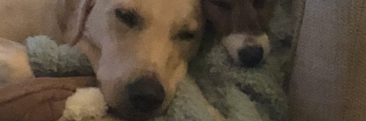 JamesFace banner