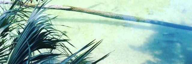 drkmalki's profile banner image