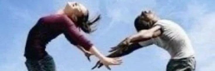 sanai banner