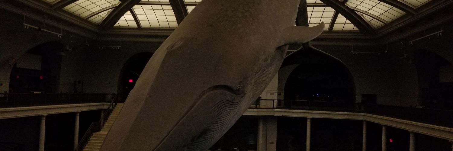 Night at the Museum Updates banner