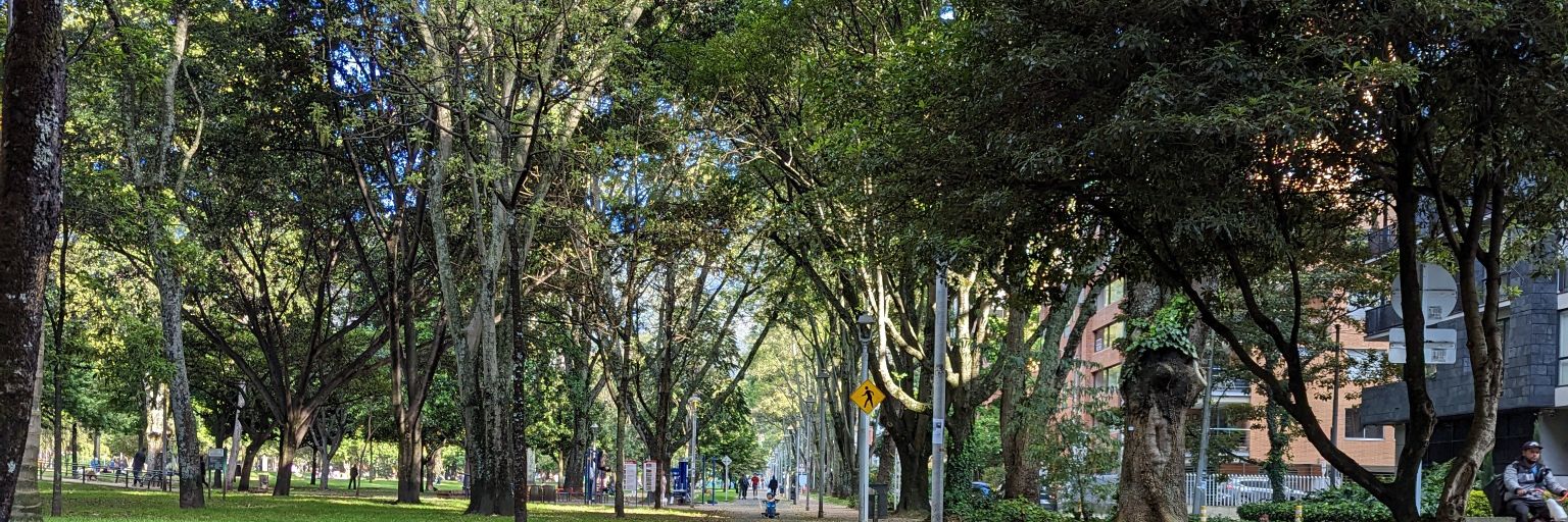 Diego Ríos 🌞 banner