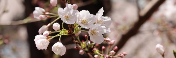 CEReSAK2 Profile Banner