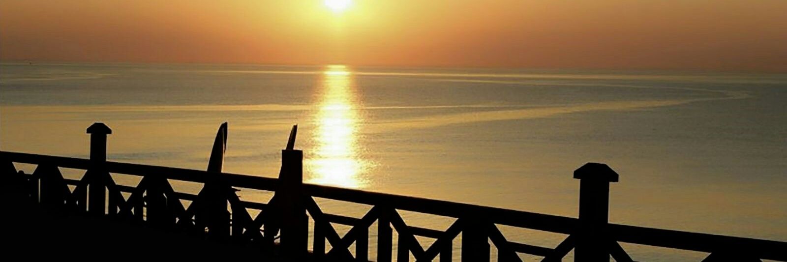 arsima061's profile banner image