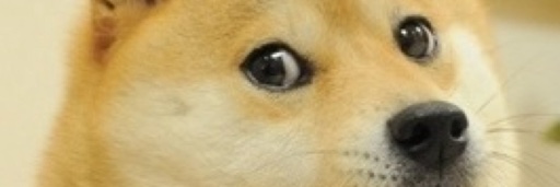 JGODoge's profile banner image