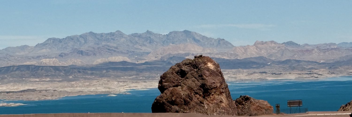 sara_e_ramirez's profile banner image