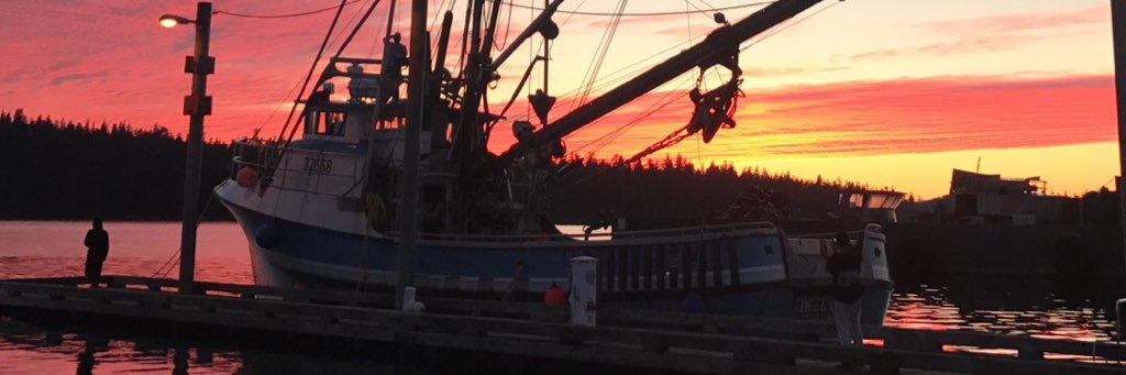 NickEnloe's profile banner image