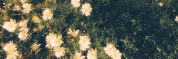 dxoxlinq Profile Banner