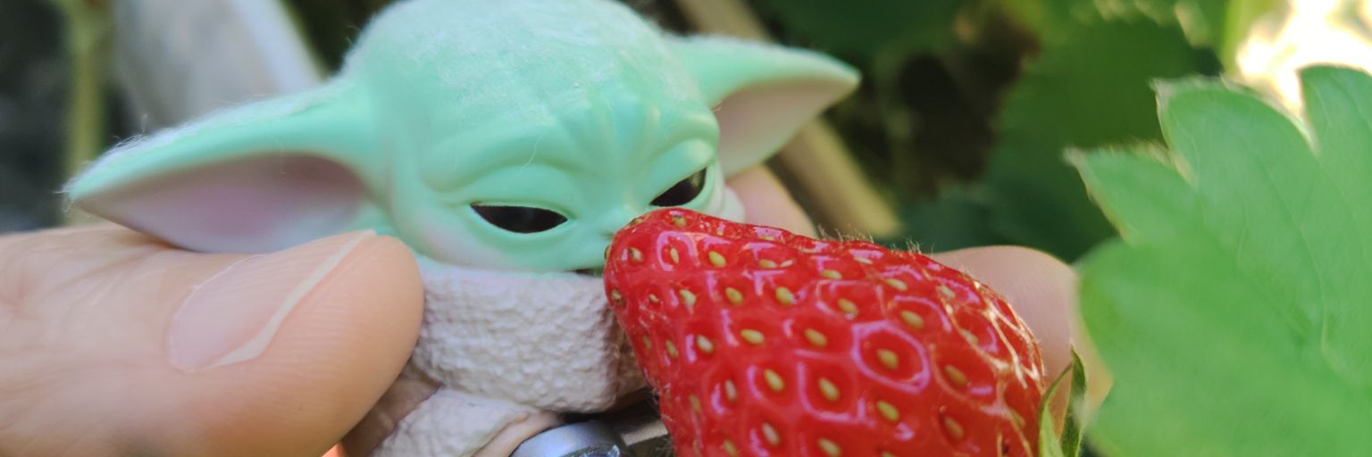 jovilstar's profile banner image