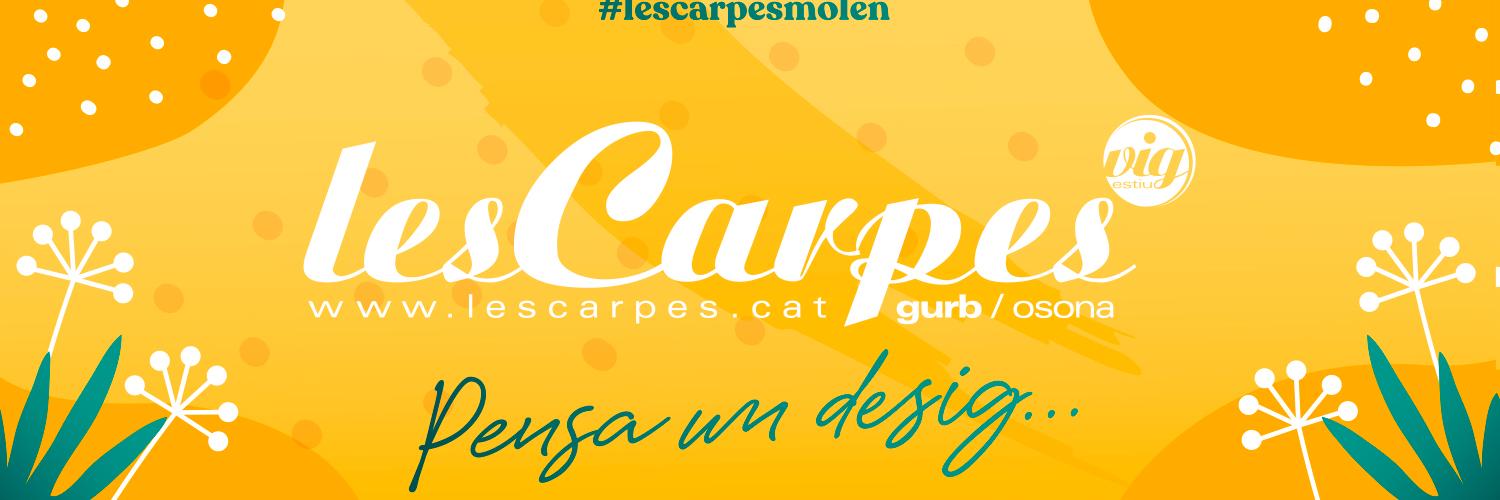 Les Carpes ViG Estiu banner