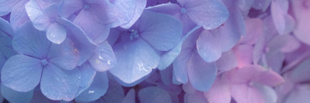 jasperiscasper_'s profile banner image
