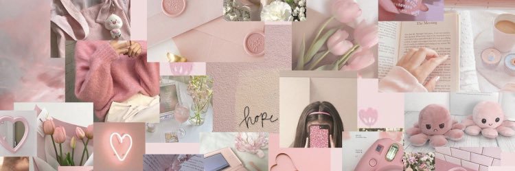 M. Constanza banner