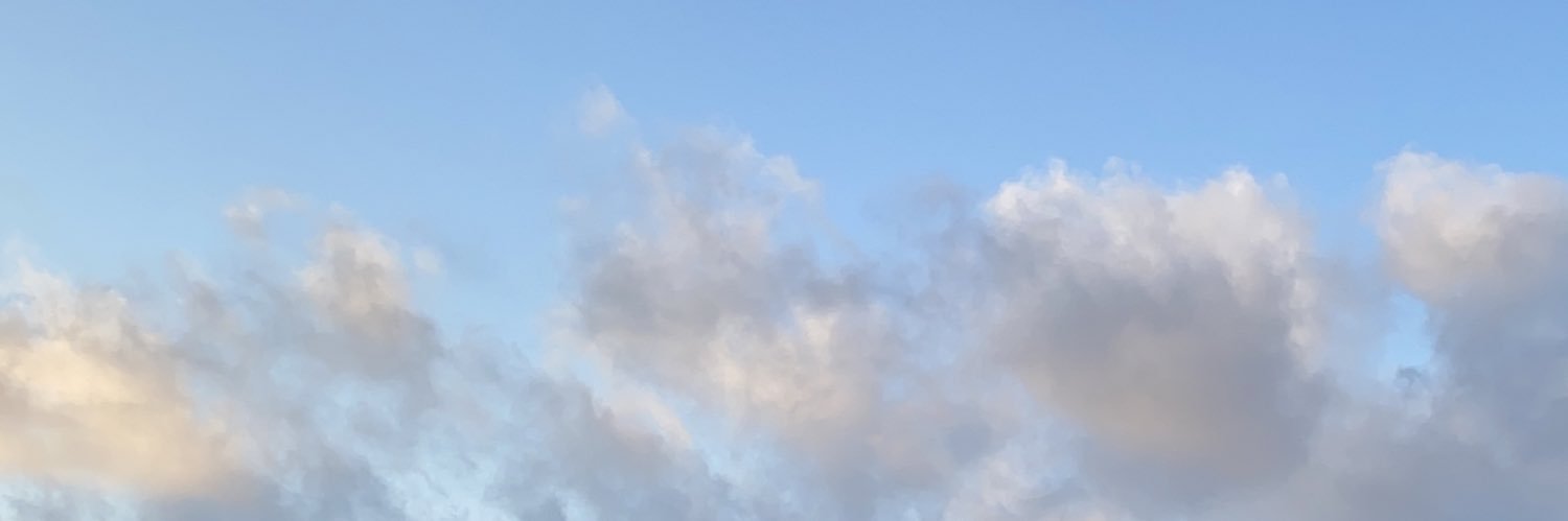 merverzli's profile banner image