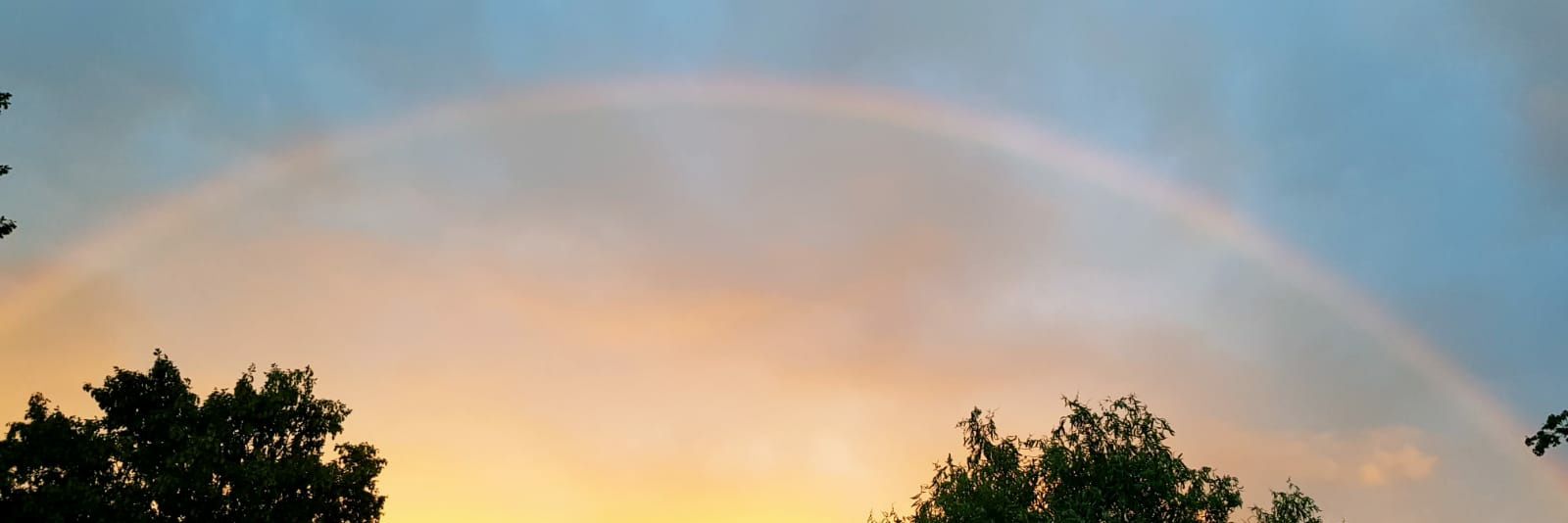 EdenCorien's profile banner image