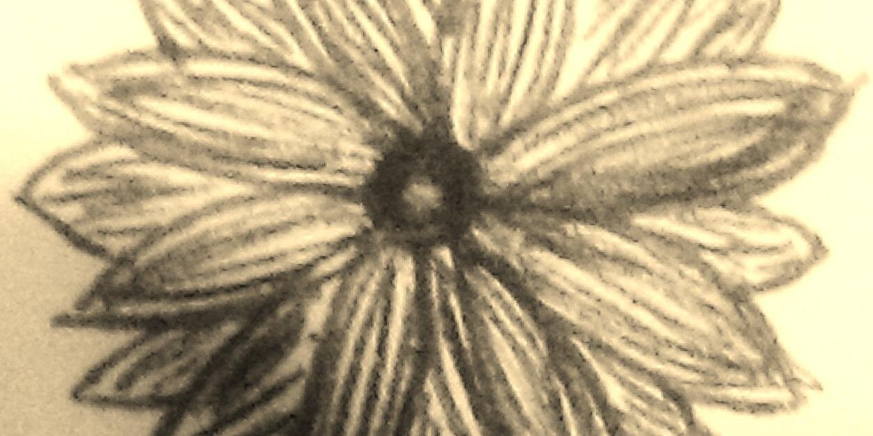 Robyn Haycock banner