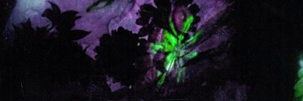 LeperMessiah 🔞 banner