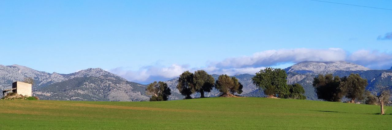 Lola_Colom's profile banner image