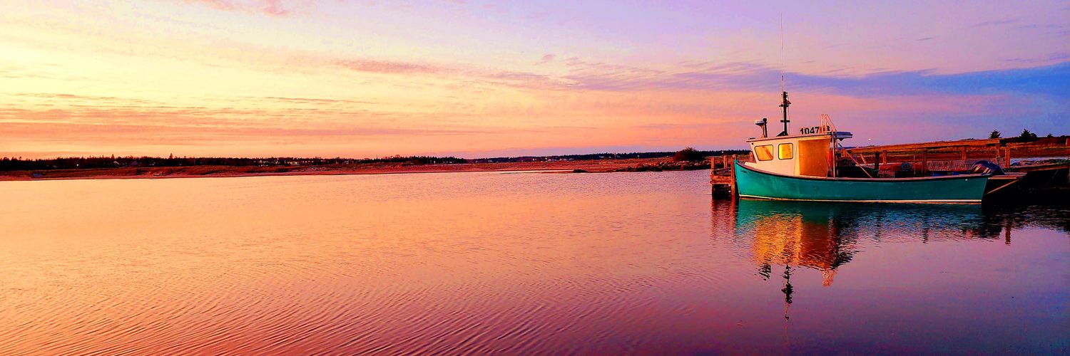 MeL.In.Nature 🩵 banner