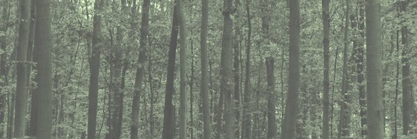 SandfordLab Profile Banner