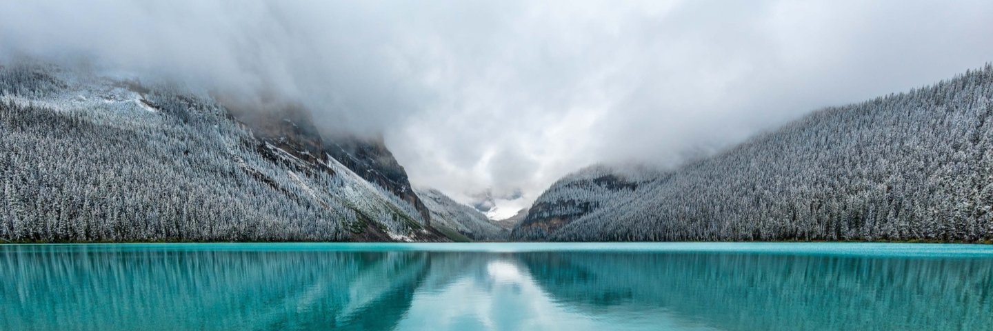 dkosarevv.nft (💙,🧡) banner