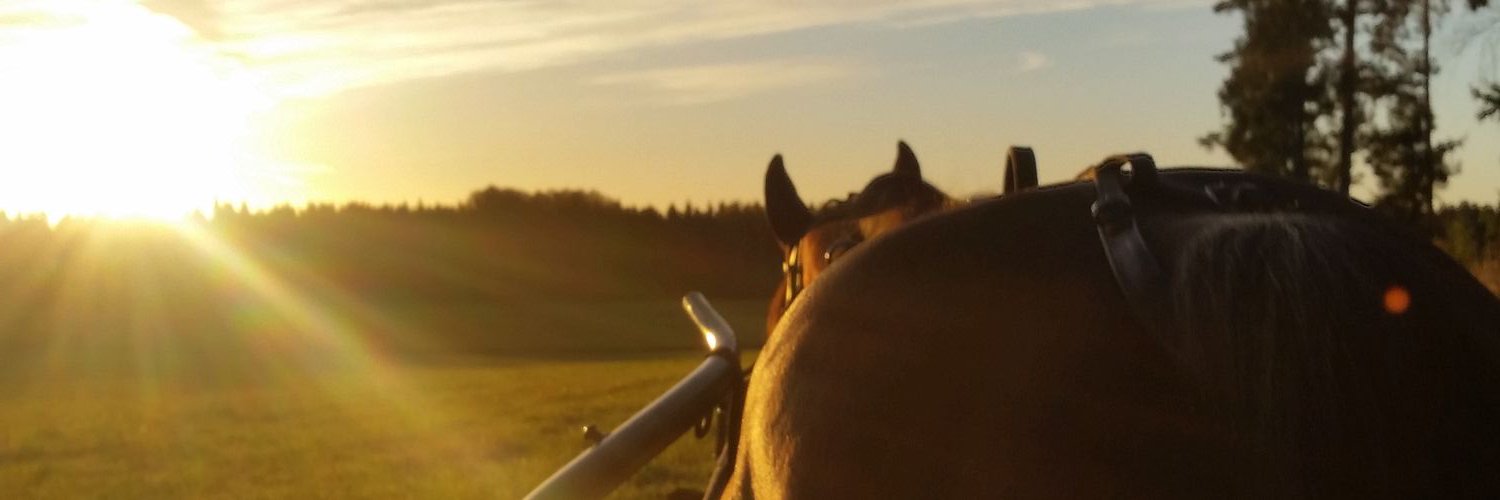 HilleviFrohm's profile banner image