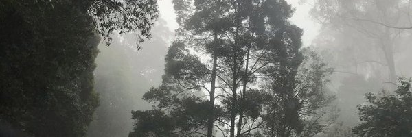 AussieVal10 Profile Banner