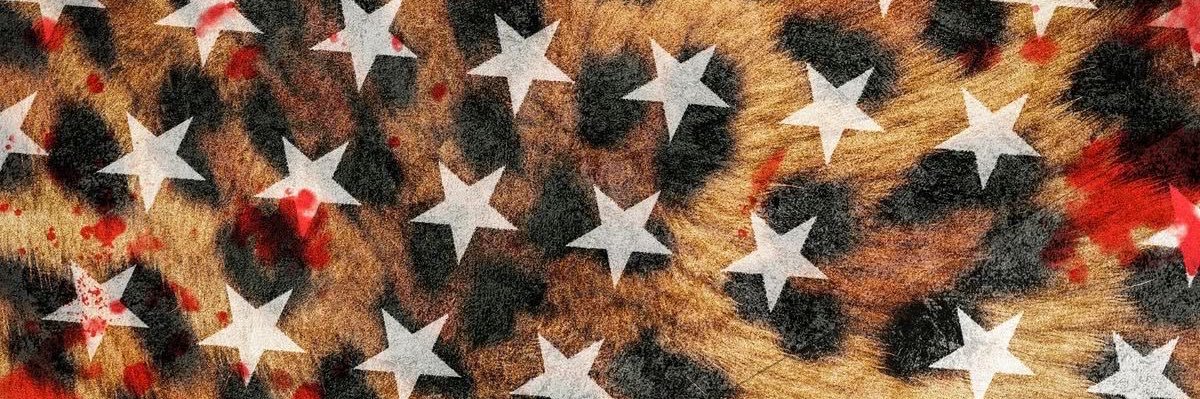 FoxyCtrl's profile banner image