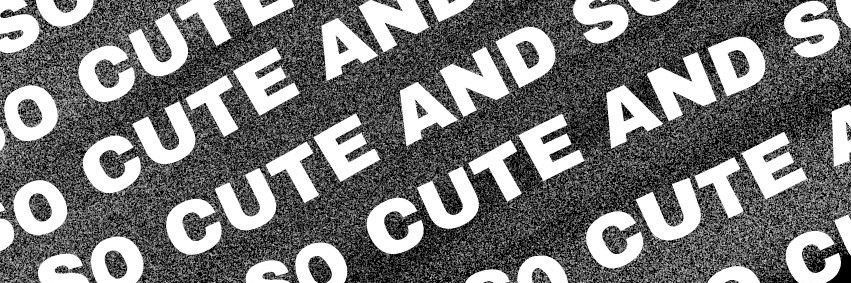 𝐒𝐝 banner