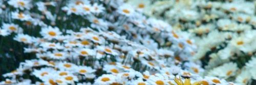 TamsynFenn's profile banner image