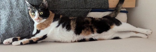 shunkick Profile Banner