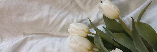 kim_os10's profile banner image
