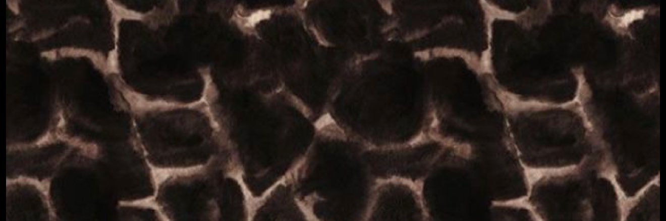 NovotnyIzabelle's profile banner image