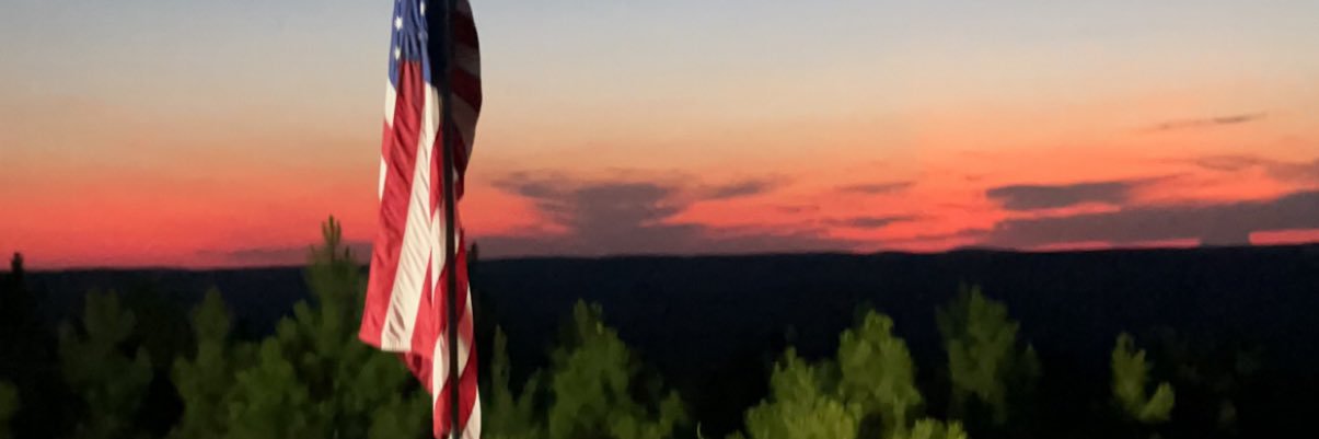 tlee8808's profile banner image