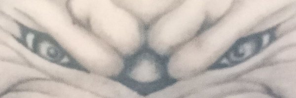 hypermetalcore Profile Banner