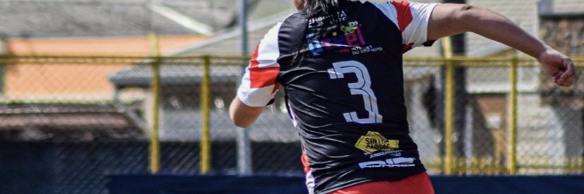 _rayaracarvalho's profile banner image