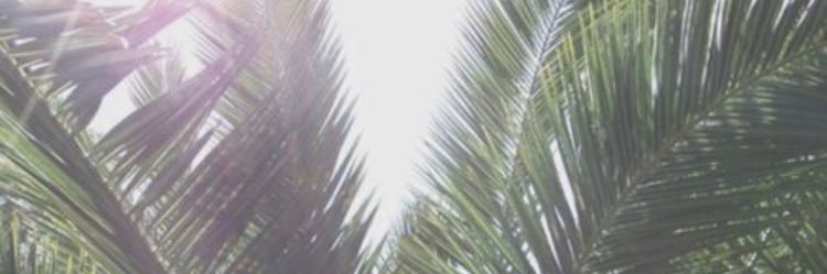 katie_herd's profile banner image