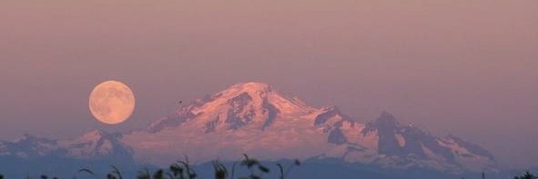 梦里听花🌙 banner