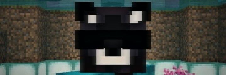 kitkaatz_'s profile banner image