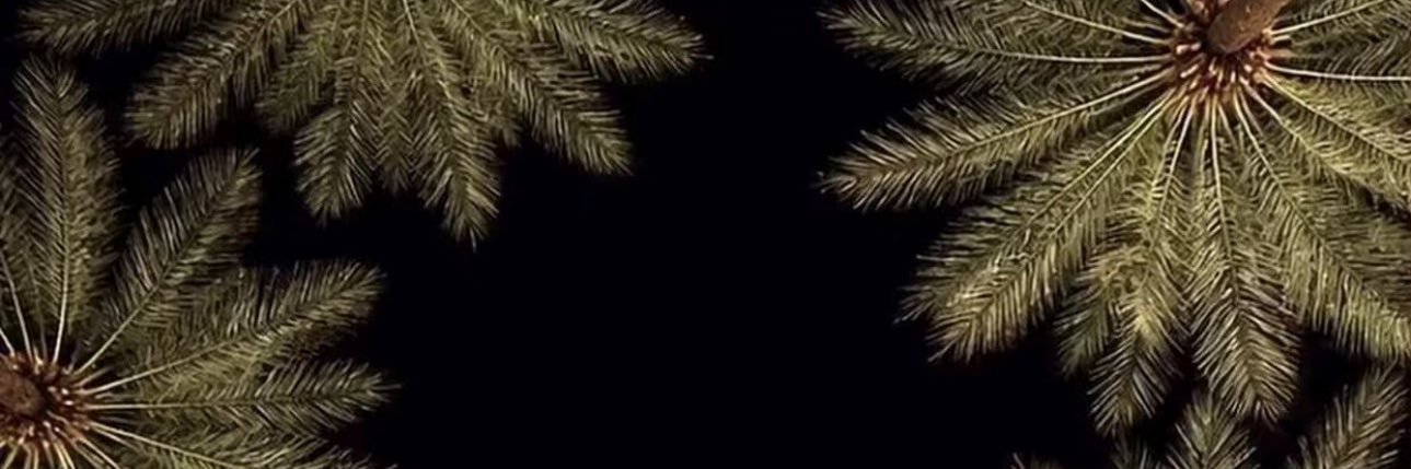 فــاطــمــه banner