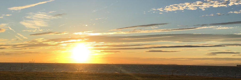 sai0530's profile banner image