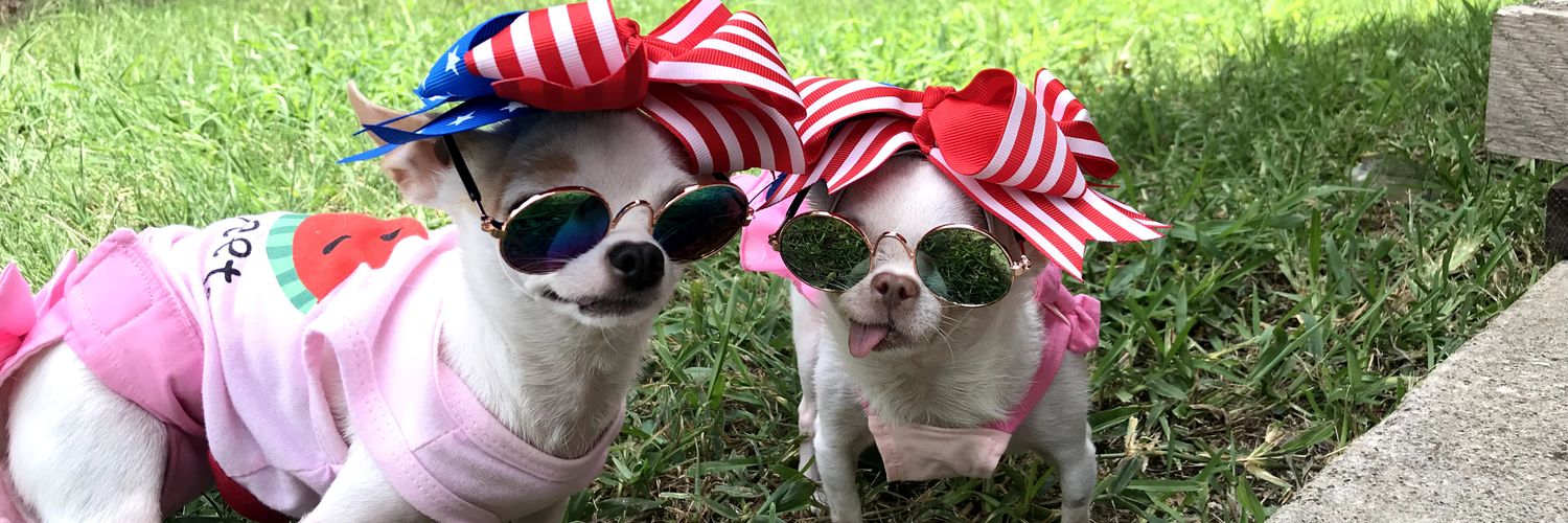 tinypetunias's profile banner image
