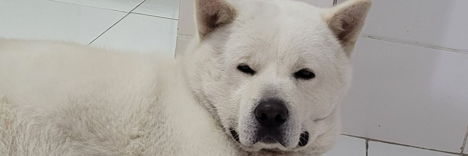 ei_juju's profile banner image
