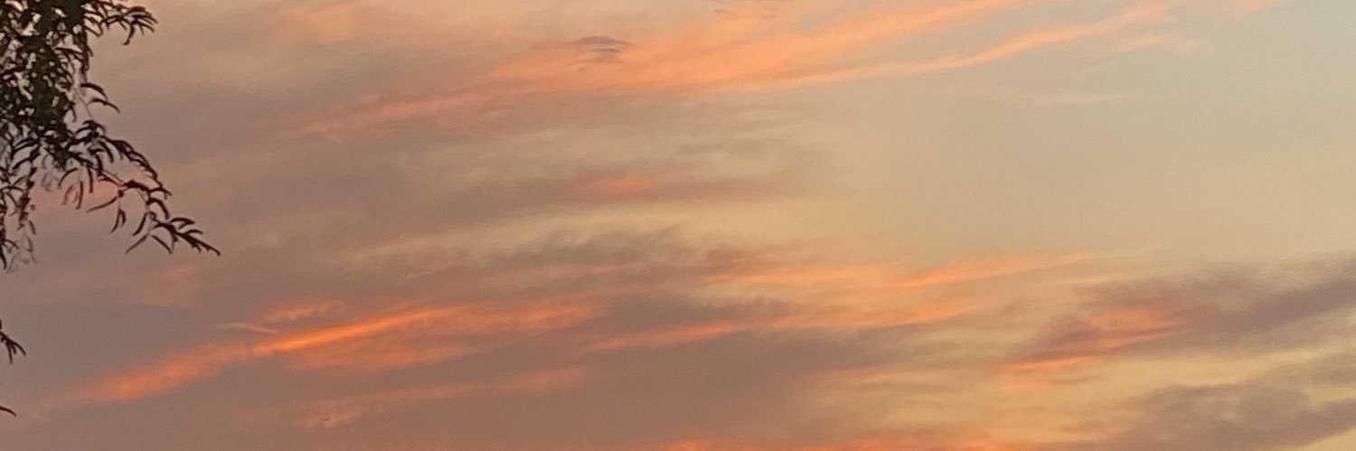 𝐅𝐫𝐚𝐧𝐤 banner