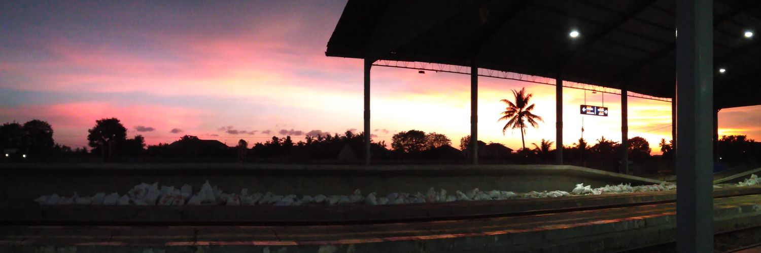 lisainamer's profile banner image